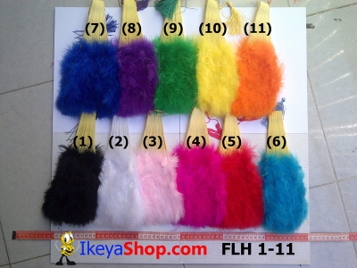 large2 FLH 1 11